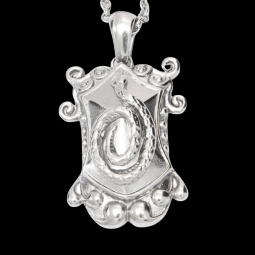 POISON - Snake and Shield Amulet